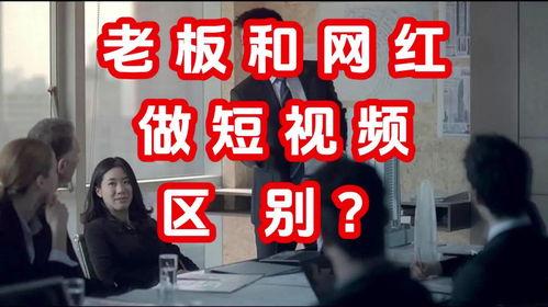 老板网红爆料屋视频